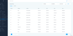 InsightPro Issue Cost Report